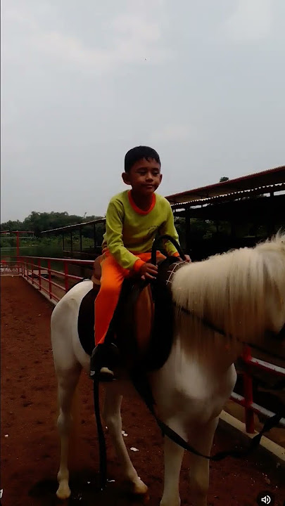kereta tak berkuda❎ kuda tak berkereta✅😊