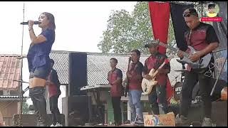 DUDU MANTUNE _ DEWI KIRANA _ TARLING DANGDUT _ MUARA BARU BLANAKAN SUBANG