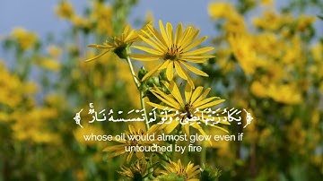 قرآن كريم/تلاوة من سورة النور القارئ  أنس محمد #قرآن_كريم #سورة_النور