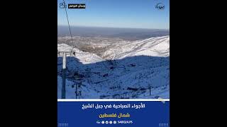 #فيديو: الأجواء الصباحية في جبل الشيخ شمال فلسطين.
