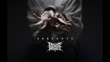 Dedalus Project - serpents (OFFICIAL VIDEO)
