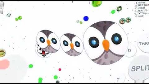 BLOB|AMAZİNG EDİT,INSANE POP SPLIT,SPLİT RUN-SHORT VİDEO