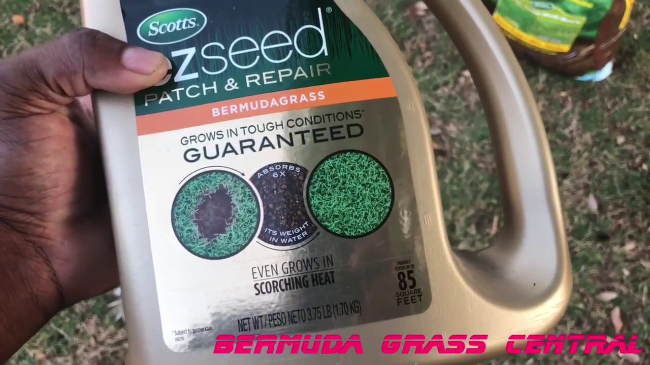 How To Apply E Z Seed For Bermuda Lawns YouTube how-to-apply-e-z-seed-for-bermuda-lawns-youtube