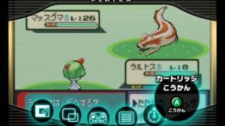 色違いマッスグマを淡々と捕獲するだけの動画 Youtube