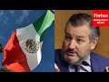 Ted Cruz Laces Into Mexican Government For 'Discriminating' Against American Companies