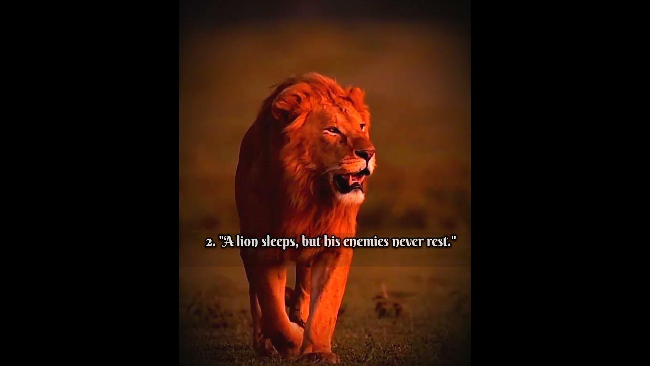 "The Lion Mentality – Be Fearless, Be Unstoppable 🦁🔥"#shorts #motivation