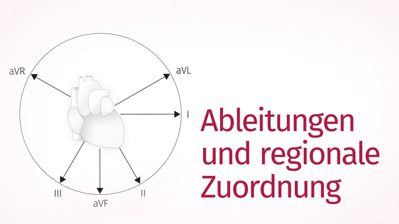Ableitungen und regionale Zuordnung – EKG befunden | ekg.training - YouTube