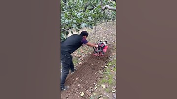 Save time, effort, and labor. A good helper for farmers. Suitable for greenhouse orchards.