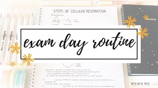 Exam Day Routine & Tips | studytee