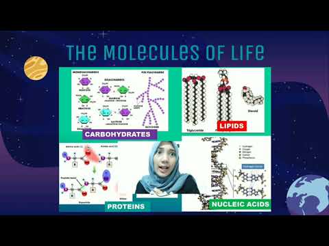Video: Apa peran karbon dalam keanekaragaman molekul kehidupan?