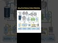 GELATIN PRODUCTION PROCESS!!#gelatine #gelatinas #production#process #pharmacokinetics #industry