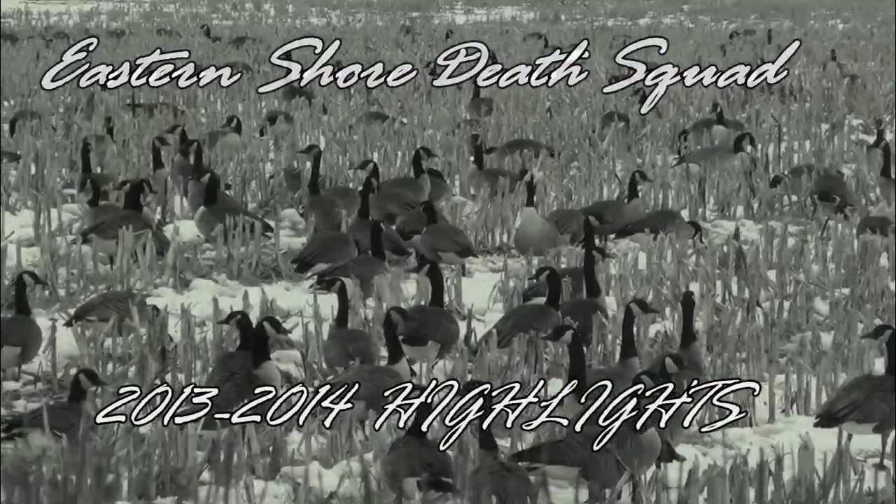 Goose hunting Maryland 20132014 YouTube