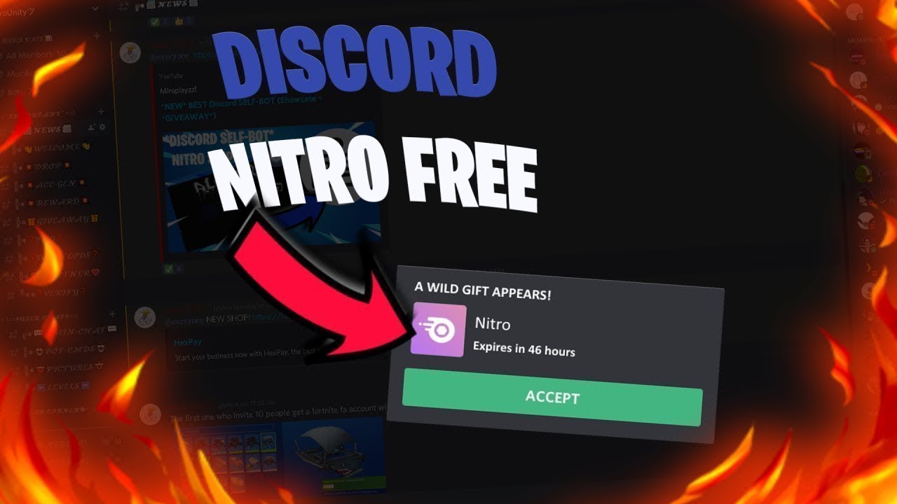 Https discord nitro