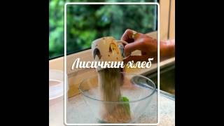 Быстрый овсяной хлеб за полчаса. Быстрый овсяной хлеб за полчаса.