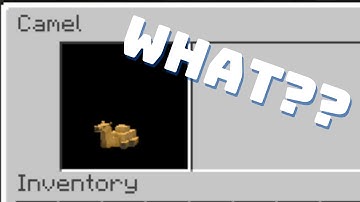 Camels are Broken??? | Minecraft 22w42a