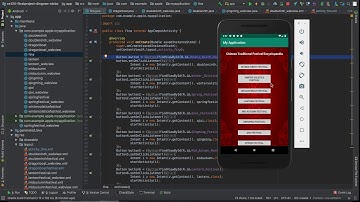 cs125 final project video