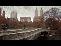 Walking Tour of Central Park, NYC during January 2020 | New York City in Winter Time