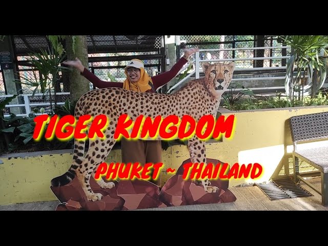 TRIP TO TIGER KINGDOM PHUKET ~ THAILAND class=