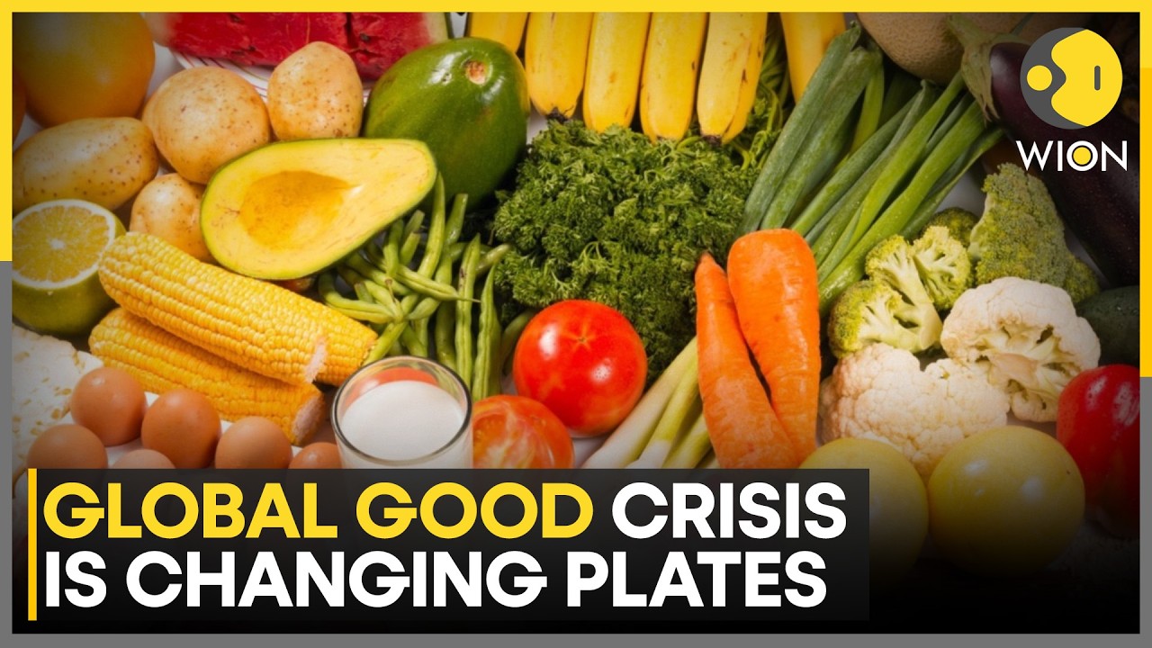 West Asia Tensions Push Millions Toward Hunger As Global Food Crisis ...