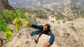 🍇⛰️ Crossing Cliffs for Grapes | Soghra’s Sacrifice for Her 7 Children ❤️👩‍👧‍👦