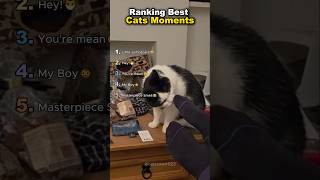Ranking Best Cats Moments😸