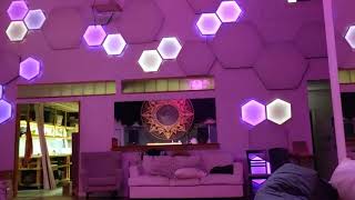 Synesthesia Live Test 2