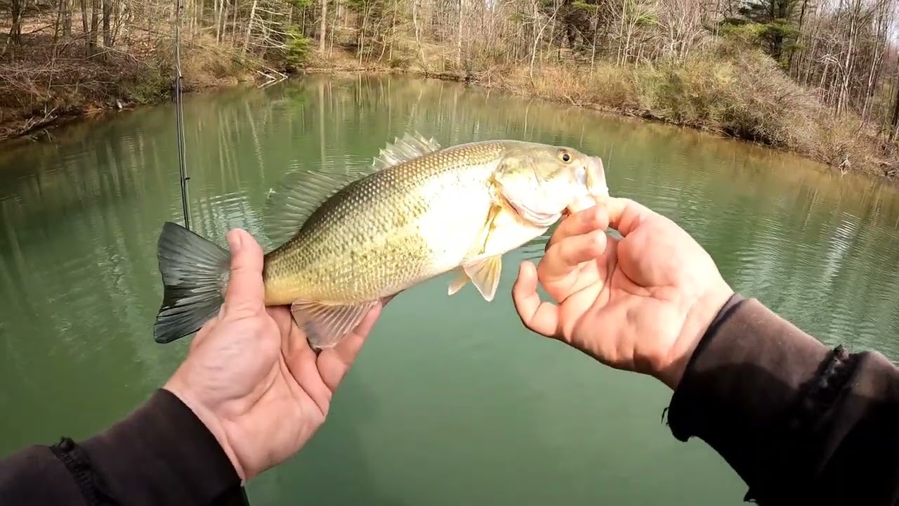 Bass fishing in early spring in clear and muddy water ( 4/09/24 )