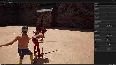 Half Sword Unreal Engine 5 (WIP)