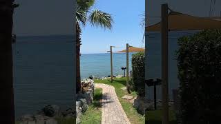 Кипр Лимассол 2024