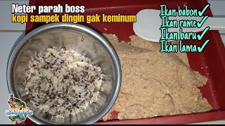 Banyak Rempesan Ikan Gak Makan?? Umpan Ini Solusinya Boss Ku | Raja Boncos