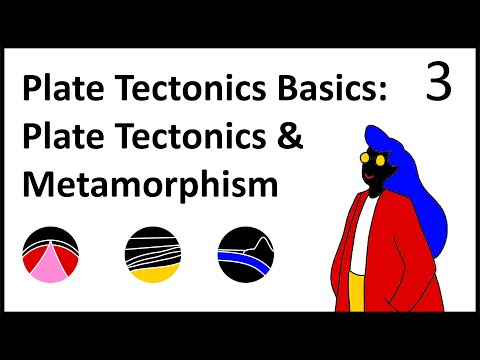 Video: În ce setări tectonice a plăcilor apare metamorfismul de contact?