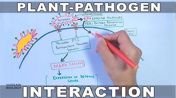 Plant Pathogen Interaction | Signalling