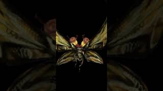 Shimo And Mothra Is A Very Beautiful Kaiju Queen And Mother Of An