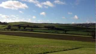 Chris Newby Flying T-Rex 700E DFC HV on Optipower 5000 mAh