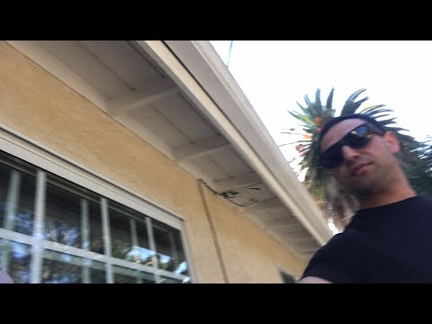 exercise 14.1 class 11 Live 🔴 on The 17th