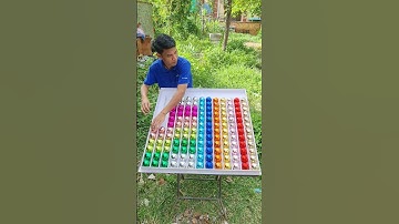 Quick Brain Challenge: Sorting Ball Color Game