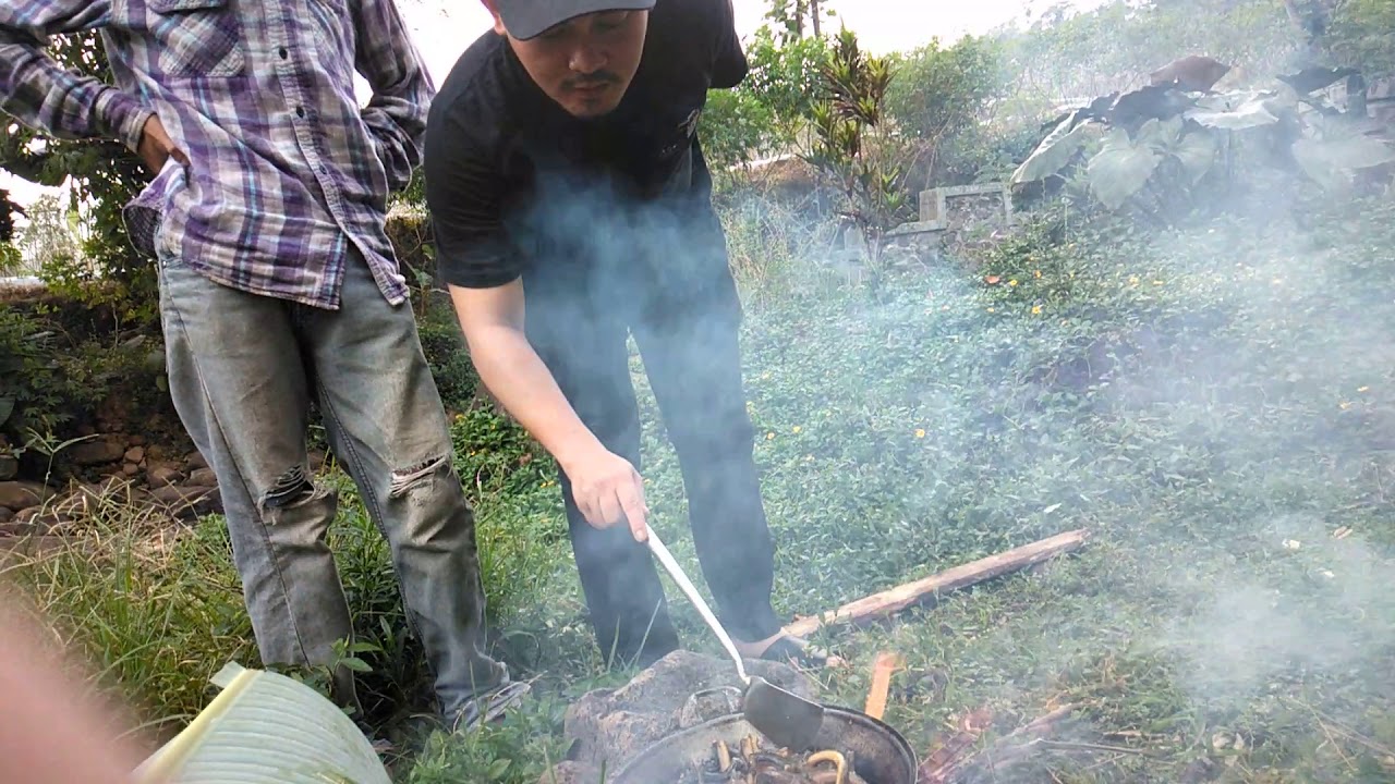 Masak Belut sawah 