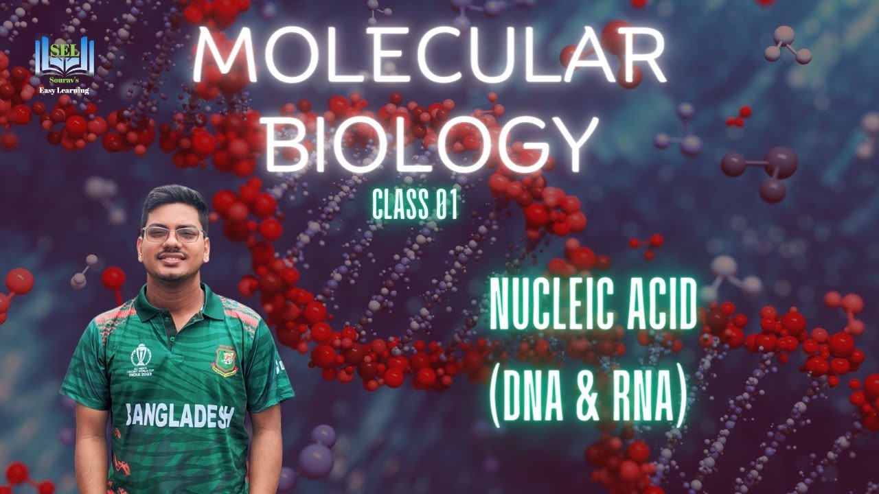 Nucleic Acid ( DNA & RNA)class01 molecular biology Pharmacy Bangla YouTube