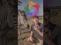 Subscribe