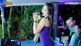 Download Lagu VELOZTA MUSIC - ARJUNANYA BUAYA - DEVI VADELA - KELAHIRAN ALVA CIRRILLO DIONISIUS PUNCEL DUKUHSETI MP3