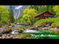 Deep Sleep Music for Insomnia 🌿 Healing Piano, Relaxing Music, Stress Relief