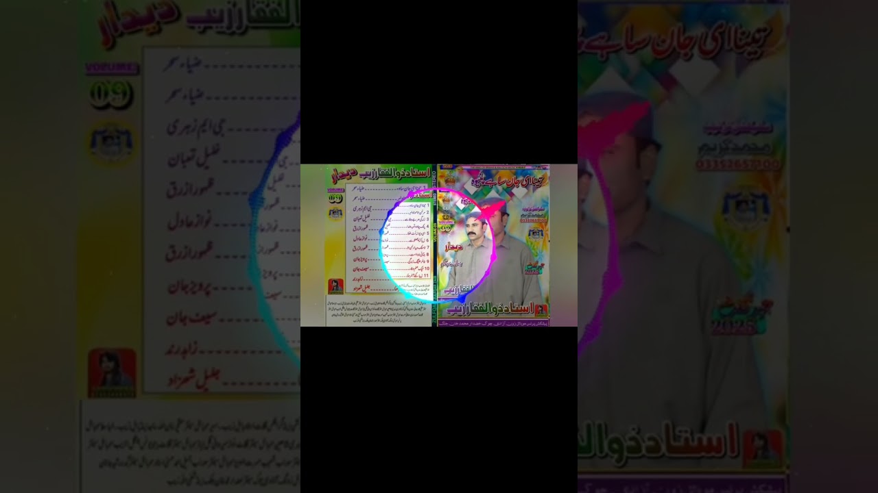 Zulfiqar zaib Vol song 2