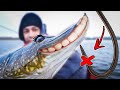 The Benefits of Barbless Hooks (Pike Fishing) | Team Galant