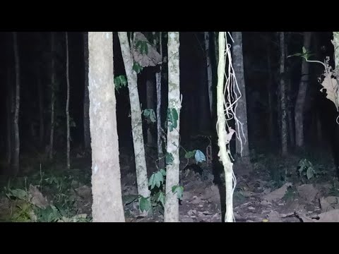 Video: Ribut Apokaliptik Misteri Dengan Penunggang Pasir - Pandangan Alternatif