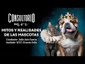 #ConsultorioMOI: mitos y realidades de las mascotas