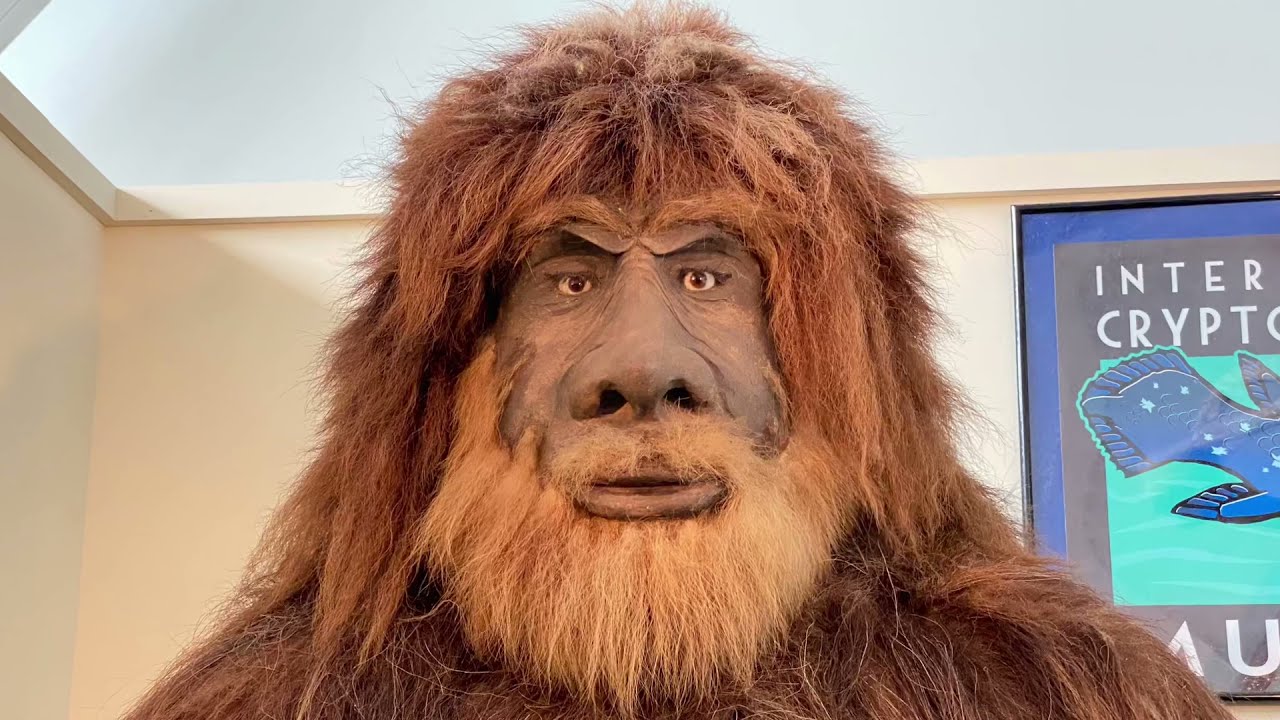 International Cryptozoology Museum - Portland, Maine