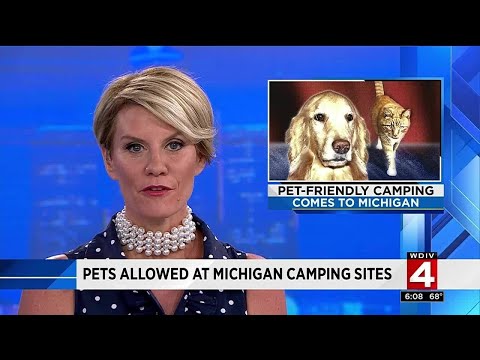 ვიდეო: დაშვებულია ძაღლები ბანაკის სახელმწიფო პარკში?