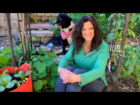 Vidéo: Stick To Your Garden Goals : comment fixer des objectifs dans le jardin et les atteindre