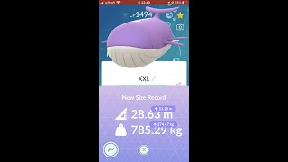 Shiny XXL Wailord In Pokémon Go