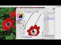 Beginning of video